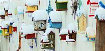 birdhouses